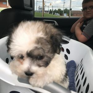 Meet your Posher, Shelly